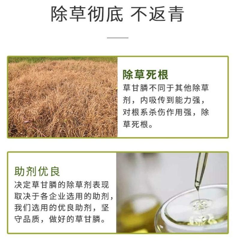 安道麦一世闲41%草甘膦异丙胺盐烂根杂草果园除草剂
