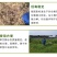 安道麦一世闲41%草甘膦异丙胺盐烂根杂草果园除草剂