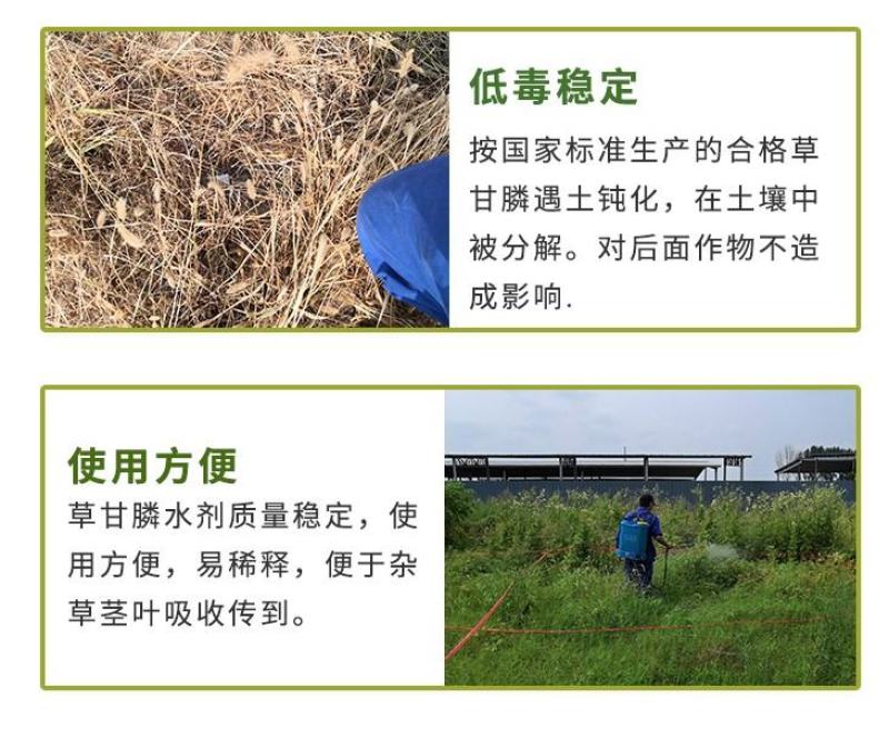 安道麦一世闲41%草甘膦异丙胺盐烂根杂草果园除草剂