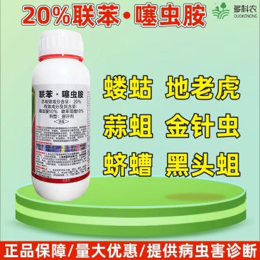 20%联苯噻虫胺地蛆韭蛆地老虎金针虫地下害虫果树蔬菜农药