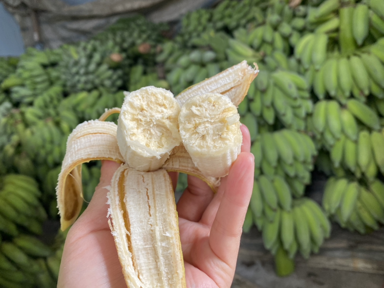 米蕉切面特写展示果肉质地