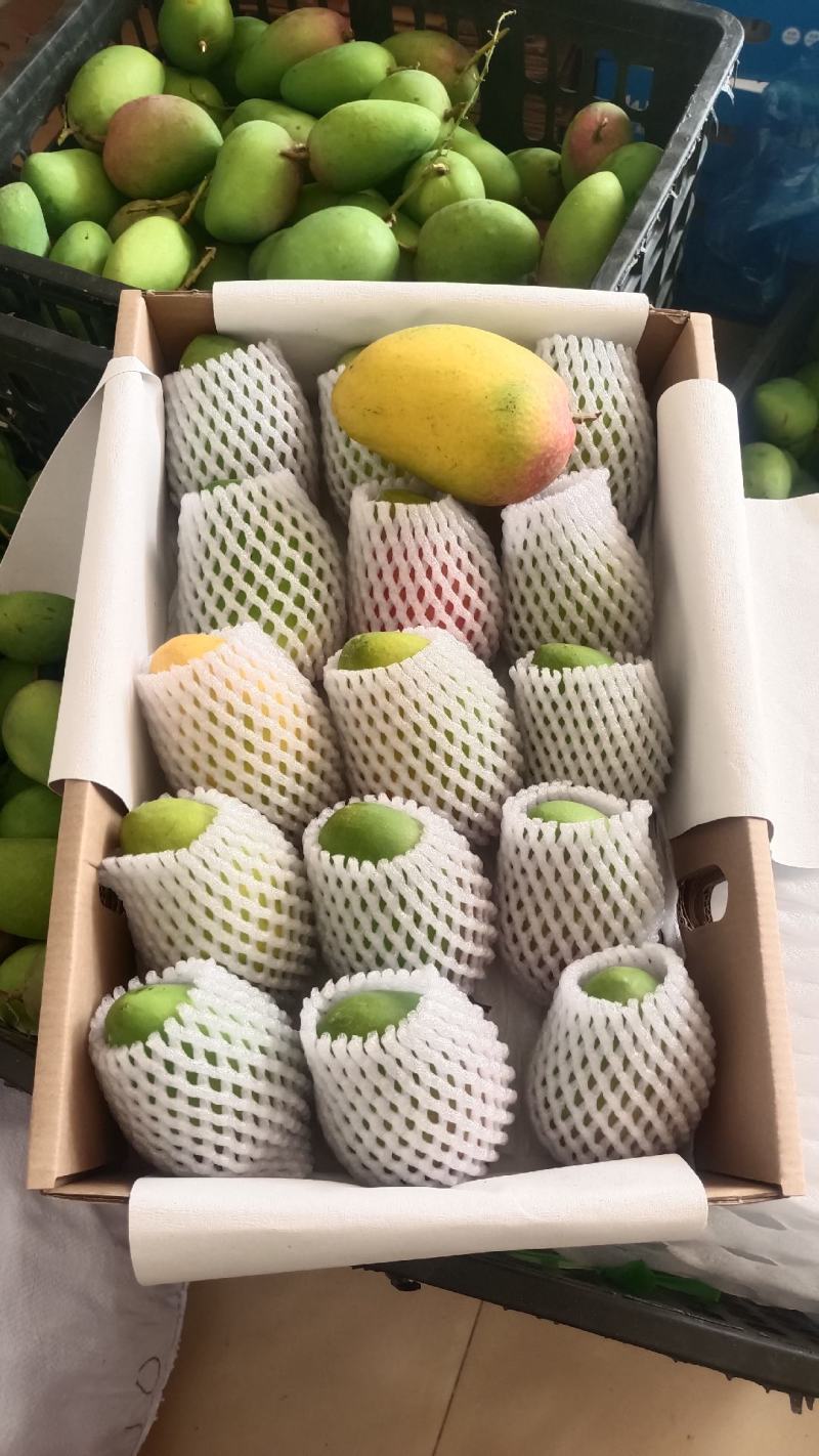 海南台农精品大台社区团购供应