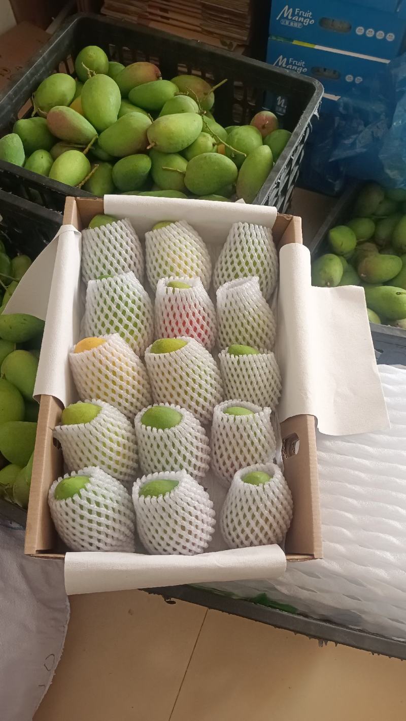 海南台农精品大台社区团购供应
