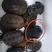 中华草龟，龟苗便宜批发，规格多样，摆摊用火热，繁殖力强