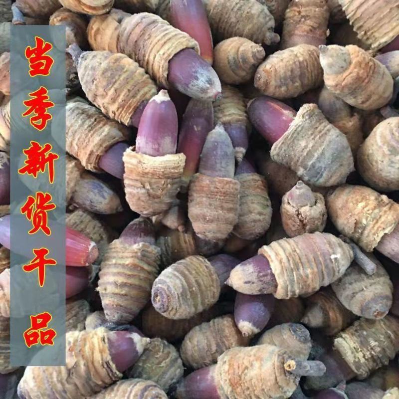 狗鞭果精品上市，质优价廉，品质保证欢迎全国各地客户订购