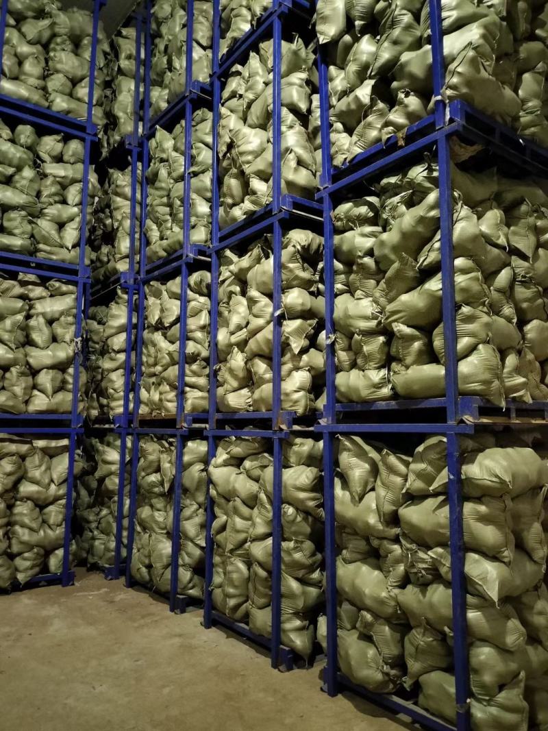 水果萝卜青萝卜电商加工厂养殖场食品厂量大从优
