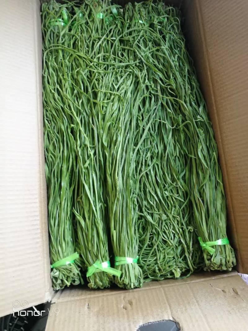 安徽贡菜干，火锅，串串，钵钵鸡口感脆爽品质保证