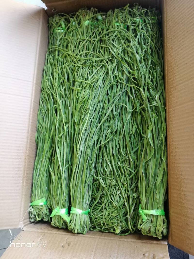 安徽贡菜干，火锅，串串，钵钵鸡口感脆爽品质保证