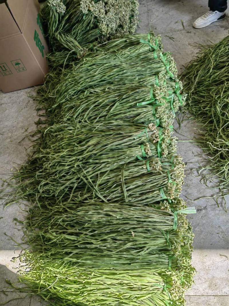安徽贡菜干，火锅，串串，钵钵鸡口感脆爽品质保证