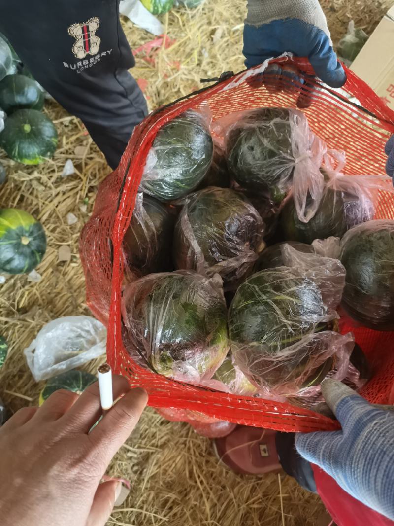 黑晶南瓜代发中国，诚信经营老瓜开始有货了，价格美丽