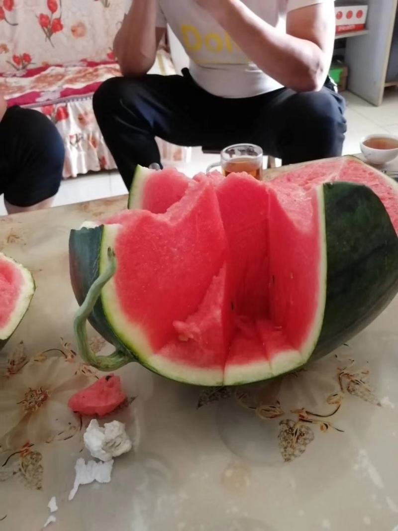 浪潮甜王06黑皮甜王种子易管理糖度14.5易座薄皮不空心