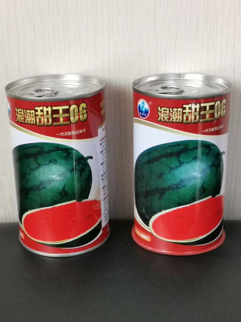 浪潮甜王06黑皮甜王种子易管理糖度14.5易座薄皮不空心
