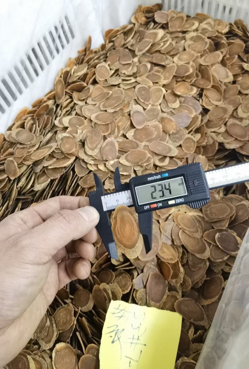 【特大纯无糖红参片】纯正长白山红参花片产地批发无硫包邮
