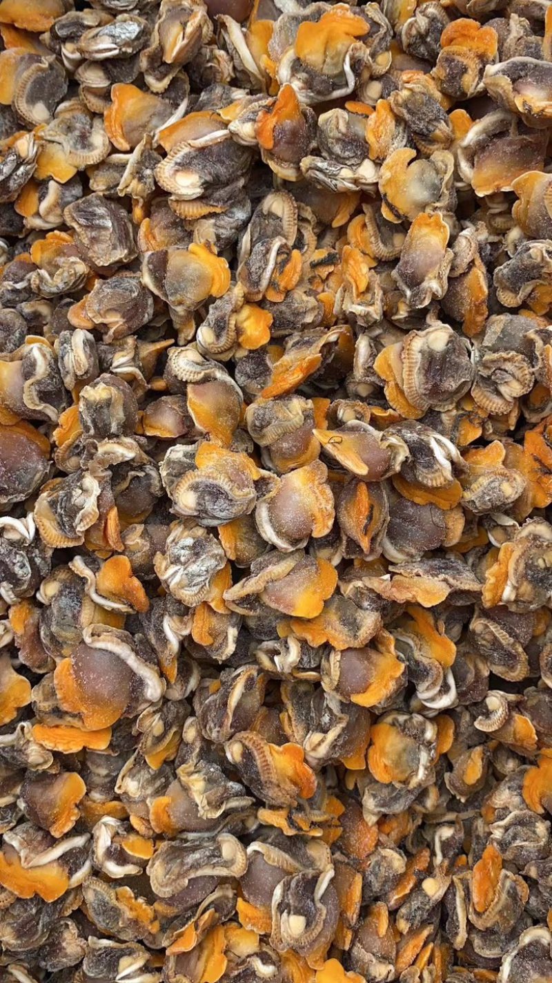 【产地直供】鲜冻毛蛤蜊血蛤肉无沙蛤蜊肉江苏海鲜水产