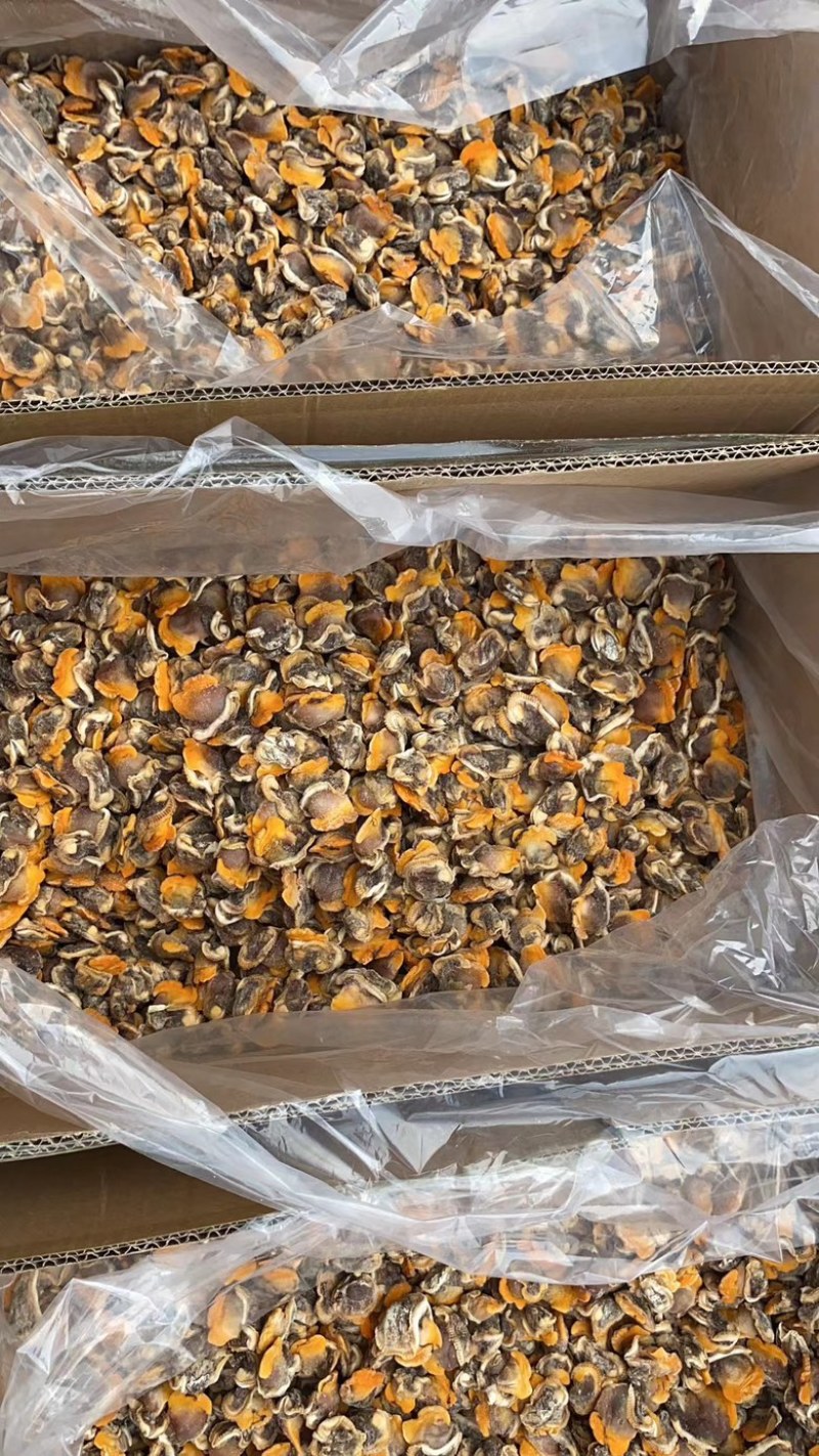 【产地直供】鲜冻毛蛤蜊血蛤肉无沙蛤蜊肉江苏海鲜水产