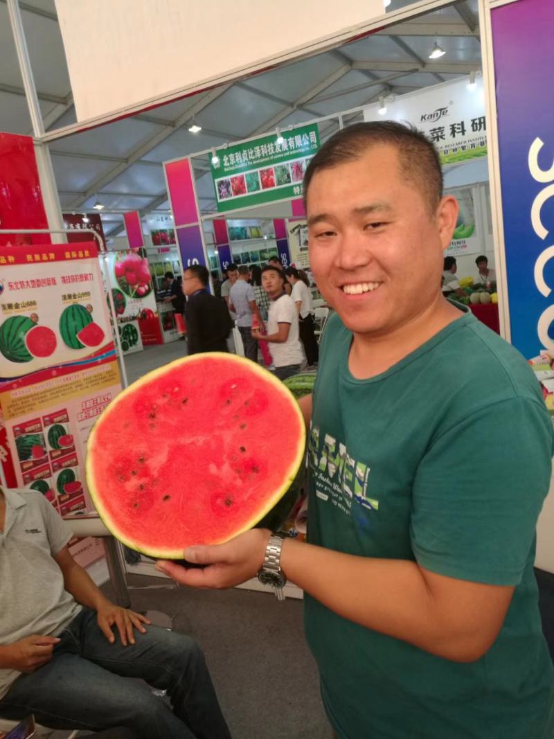 浪潮甜王06黑皮甜王种子易管理糖度14.5易座薄皮不空心