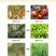 富硒豆粕有机菌肥发酵大豆粉剂柱状生物菌肥现货