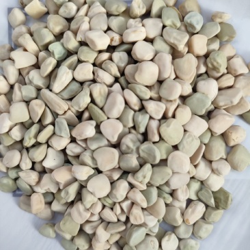 三角豆松柳
