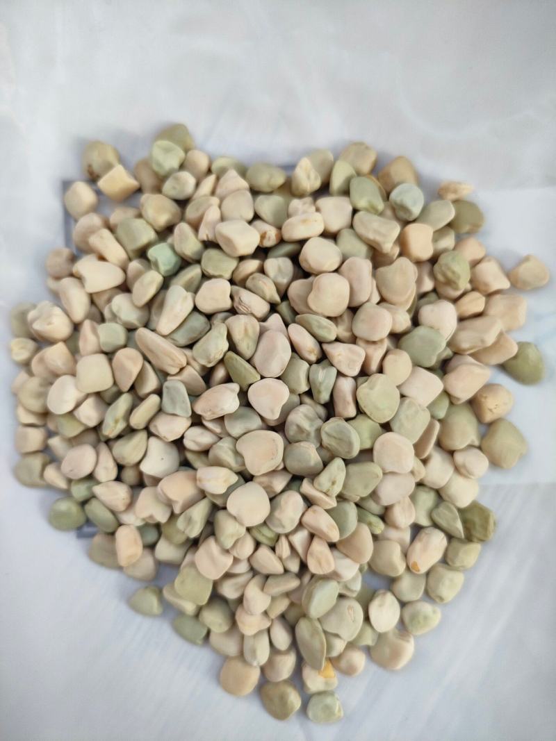 三角豆松柳