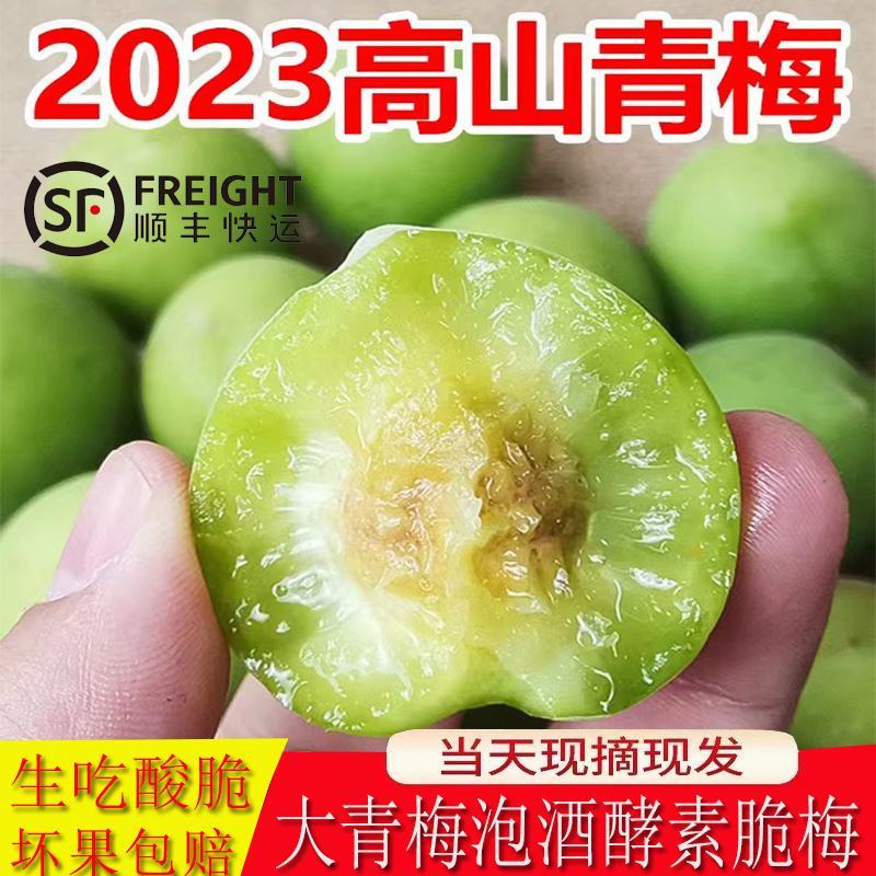 高山手工采摘大青梅普宁小白梅黄梅胭脂梅