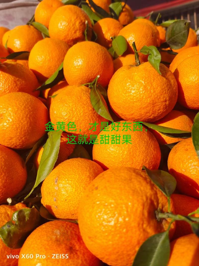 汉源黄果柑，甜，口感好，量大，有几千万斤