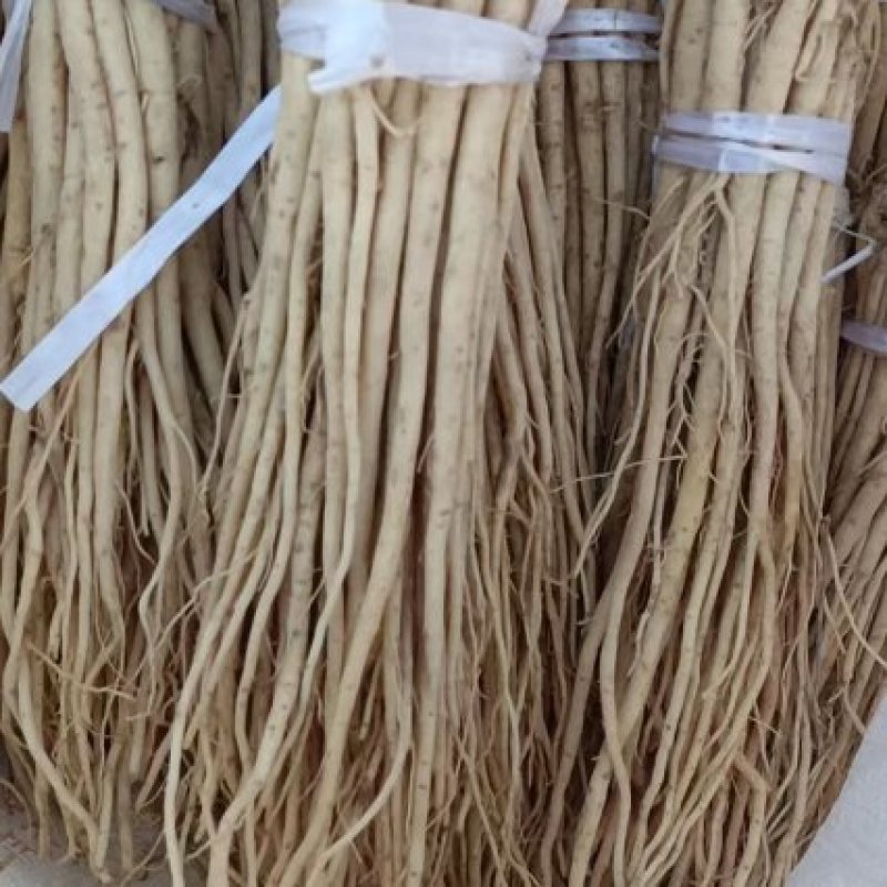 药乡党参苗，价格合理，产量有保障。需要的老板请电话咨询。