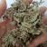 蛤蟆草，手选野生，全国发货，大货供应，支持在线下单