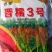 晋糯3号糯高粱种子