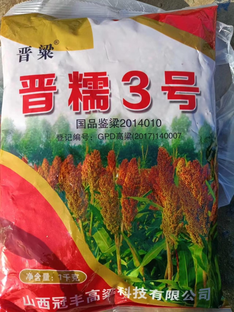 晋糯3号糯高粱种子
