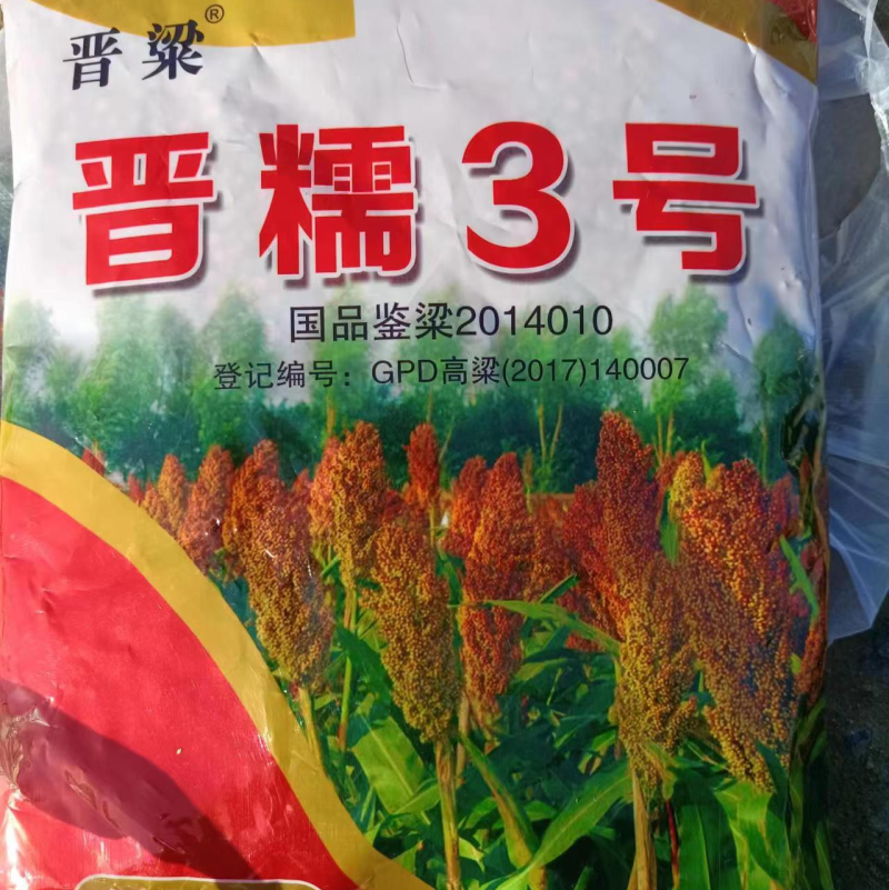 晋糯3号糯高粱种子