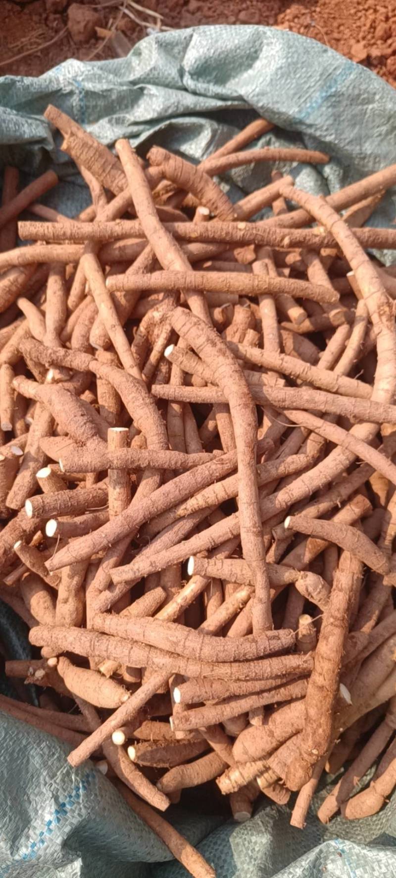 新鲜牛大力，小叶统货，小叶次牛，黄皮，煲汤泡酒口味甘甜
