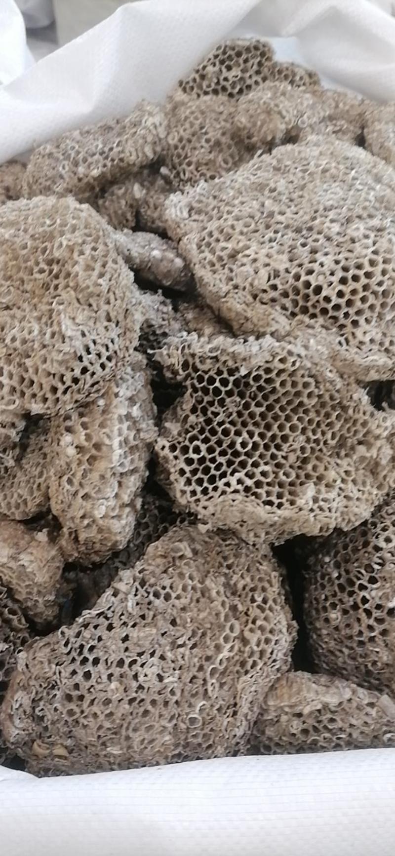 蜂房家蜂房蜂巢大眼蜂房小眼蜂房桑蛸