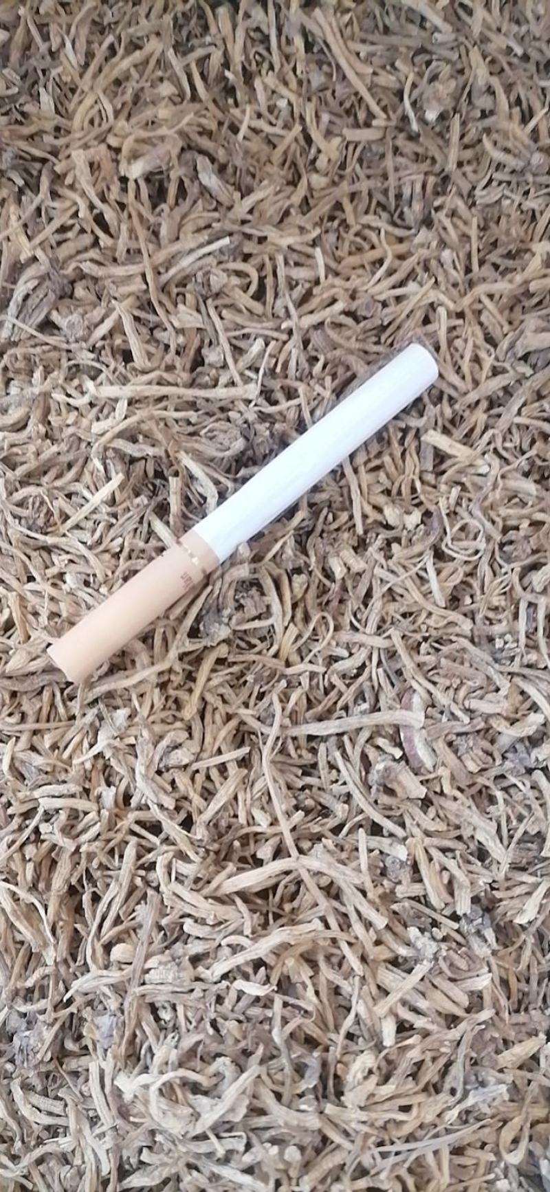 龙胆草北龙胆草沫