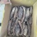 精选肉苁蓉，产地直发，无中间商，量大从优