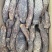 精选肉苁蓉，产地直发，无中间商，量大从优