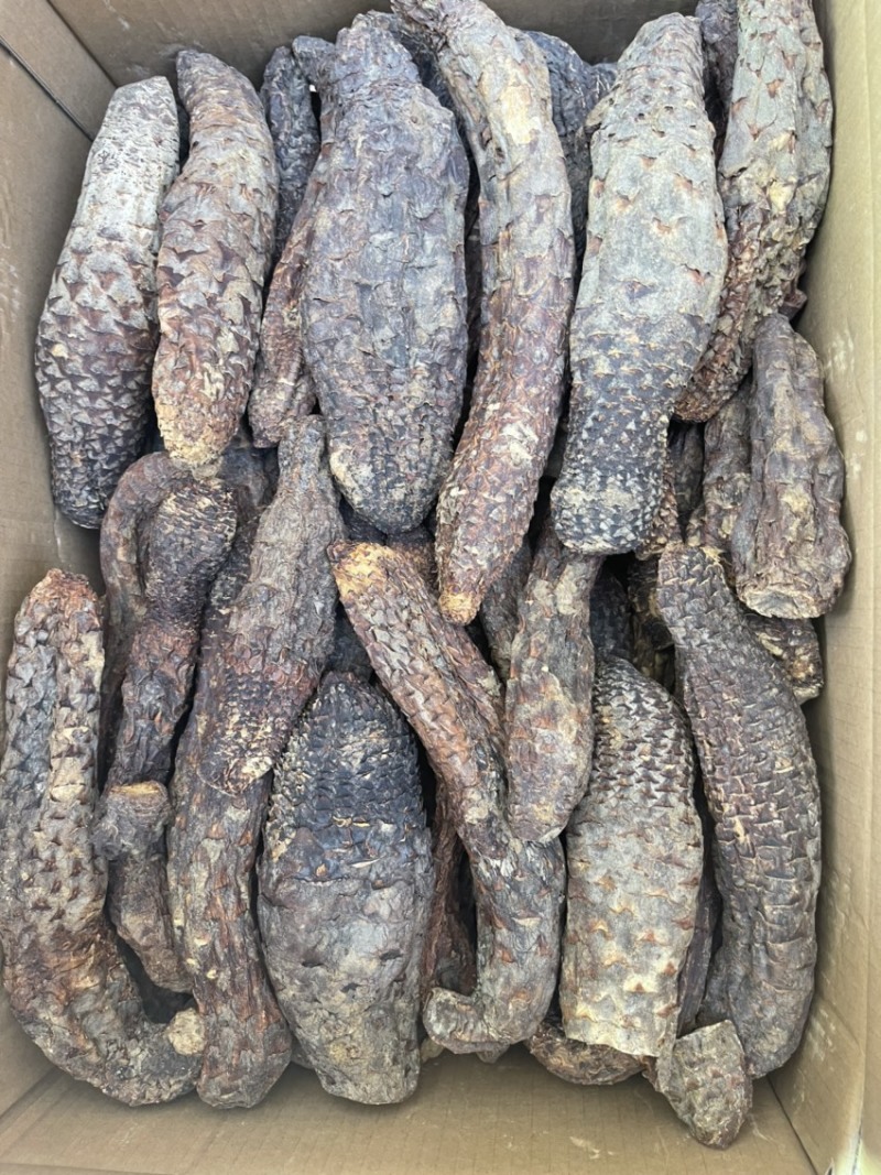 精选肉苁蓉，产地直发，无中间商，量大从优