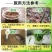 5%吲哚丁酸·萘乙酸花卉多肉月季扦插移栽生根液提高成活率
