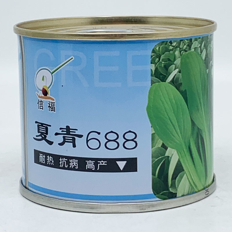 信福夏抗青梗菜种子耐热耐湿油亮上海青种子1原装发货