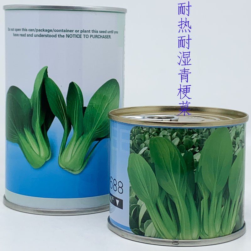 信福夏抗青梗菜种子耐热耐湿油亮上海青种子1原装发货