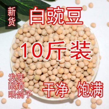 白豌豆东北生豌豆干豌豆鸽粮喂鸽子发芽酿酒重庆小面磨面散装