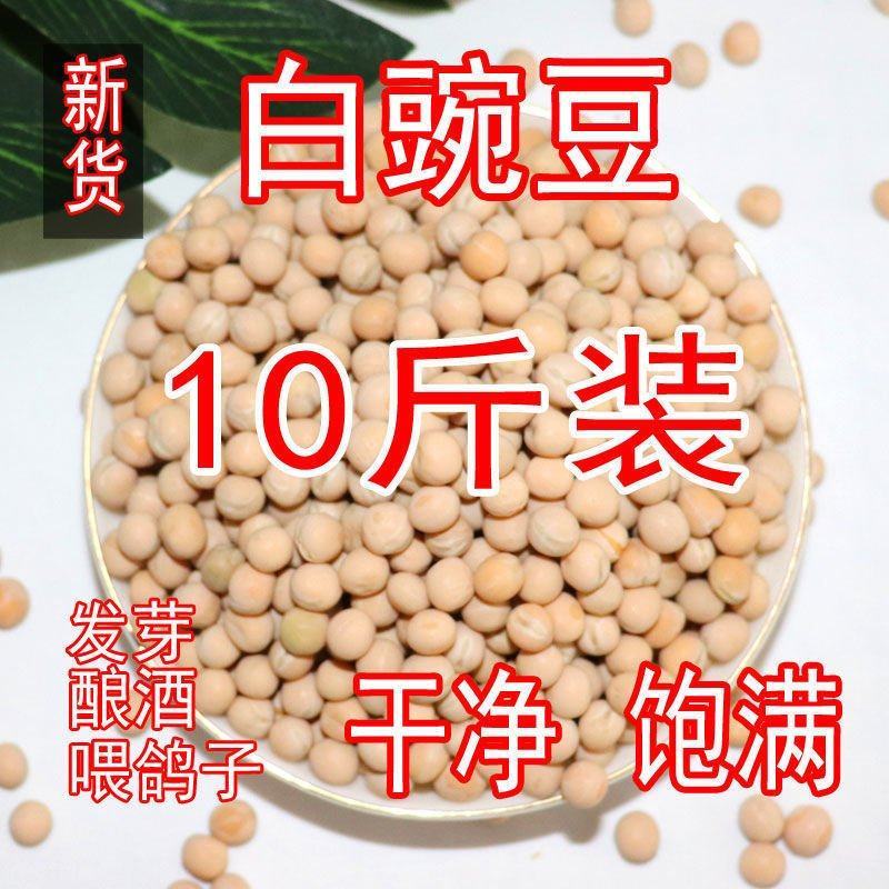 白豌豆东北生豌豆干豌豆鸽粮喂鸽子发芽酿酒重庆小面磨面散装