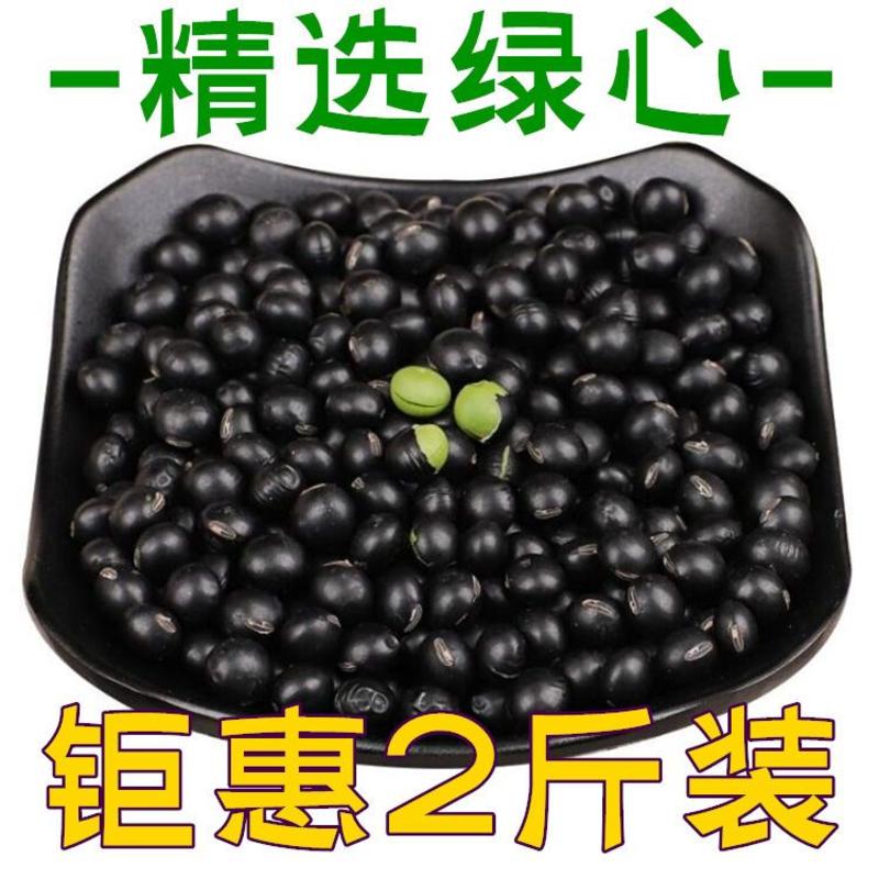 青仁绿心黑豆5斤/2斤/100g黄心绿芯可选醋泡黑豆打豆
