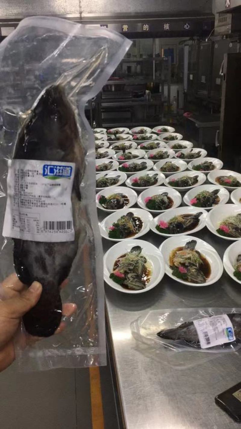 三去石斑鱼，老虎斑，深海斑鱼，可以清蒸的斑鱼！