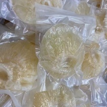 金钩翅，鱼翅，小金钩翅，头数齐全6头到30头欢迎咨询！