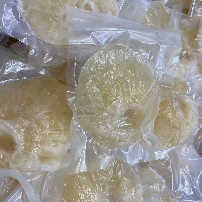 金钩翅，鱼翅，小金钩翅，头数齐全6头到30头欢迎咨询！