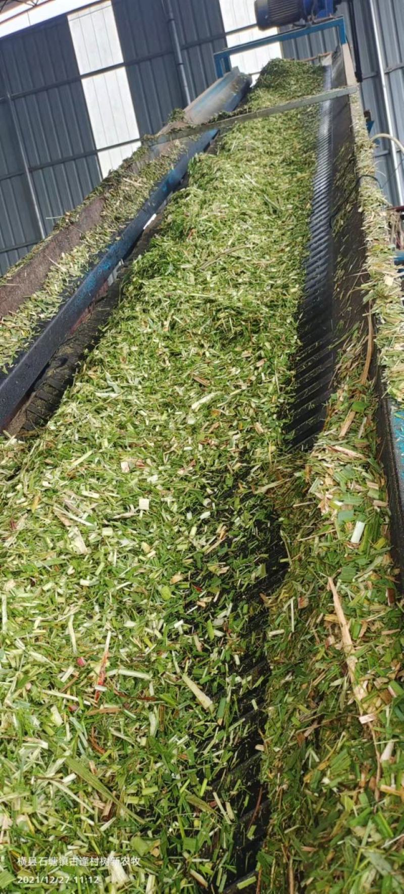 玉米杆，甘蔗尾，麦草