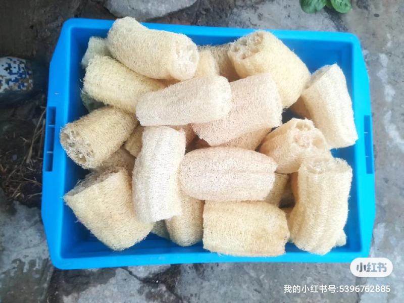 刷锅神器《丝瓜络段》