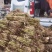 微山湖清水，白根芦苇苗，大量现货各种规格齐全