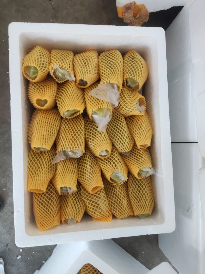 漳州五星杨桃一件代发，代办大量供应，市场批发，社区团购，