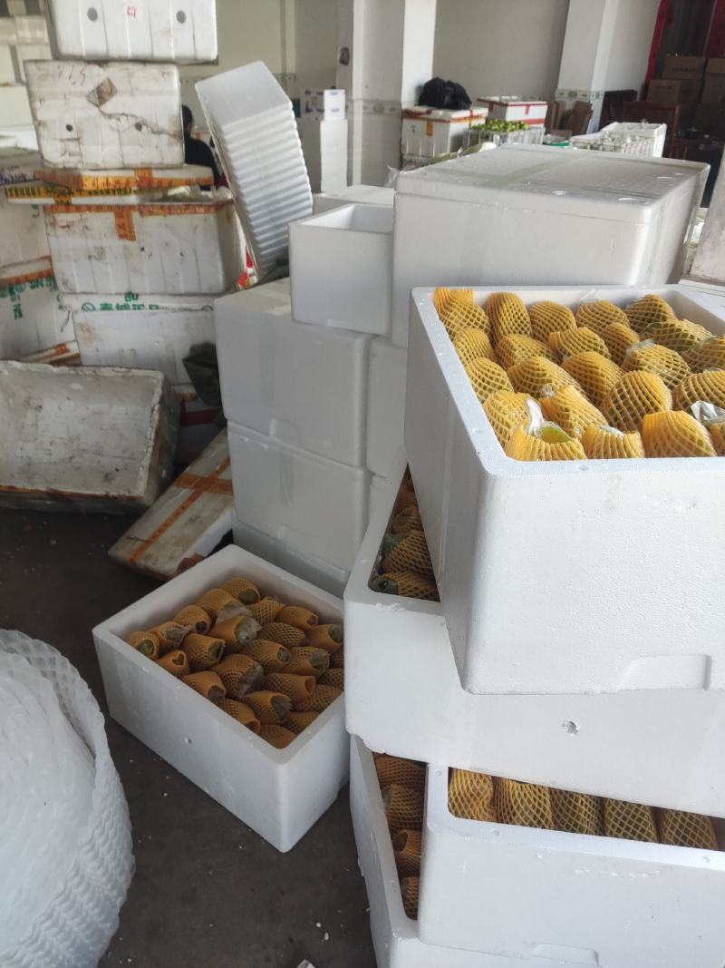 漳州五星杨桃一件代发，代办大量供应，市场批发，社区团购，
